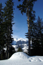 Neige