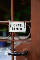 Média réf. 497 (11/29): mad-4338.jpg