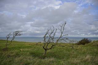 Média réf. 515 (2/14): 6823-cap-gris-nez-r.jpg