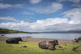 Ile de Skye, Scotland