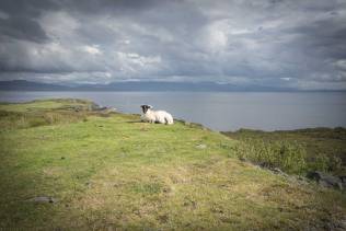 Ile de Skye, Scotland