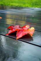 Automne sur l'Oise