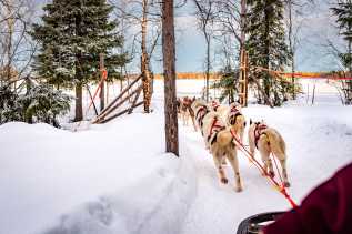 Au delà du cercle polaire arctique, Finlande