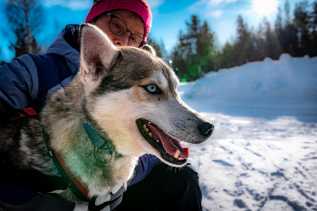 Au delà du cercle polaire arctique, Finlande